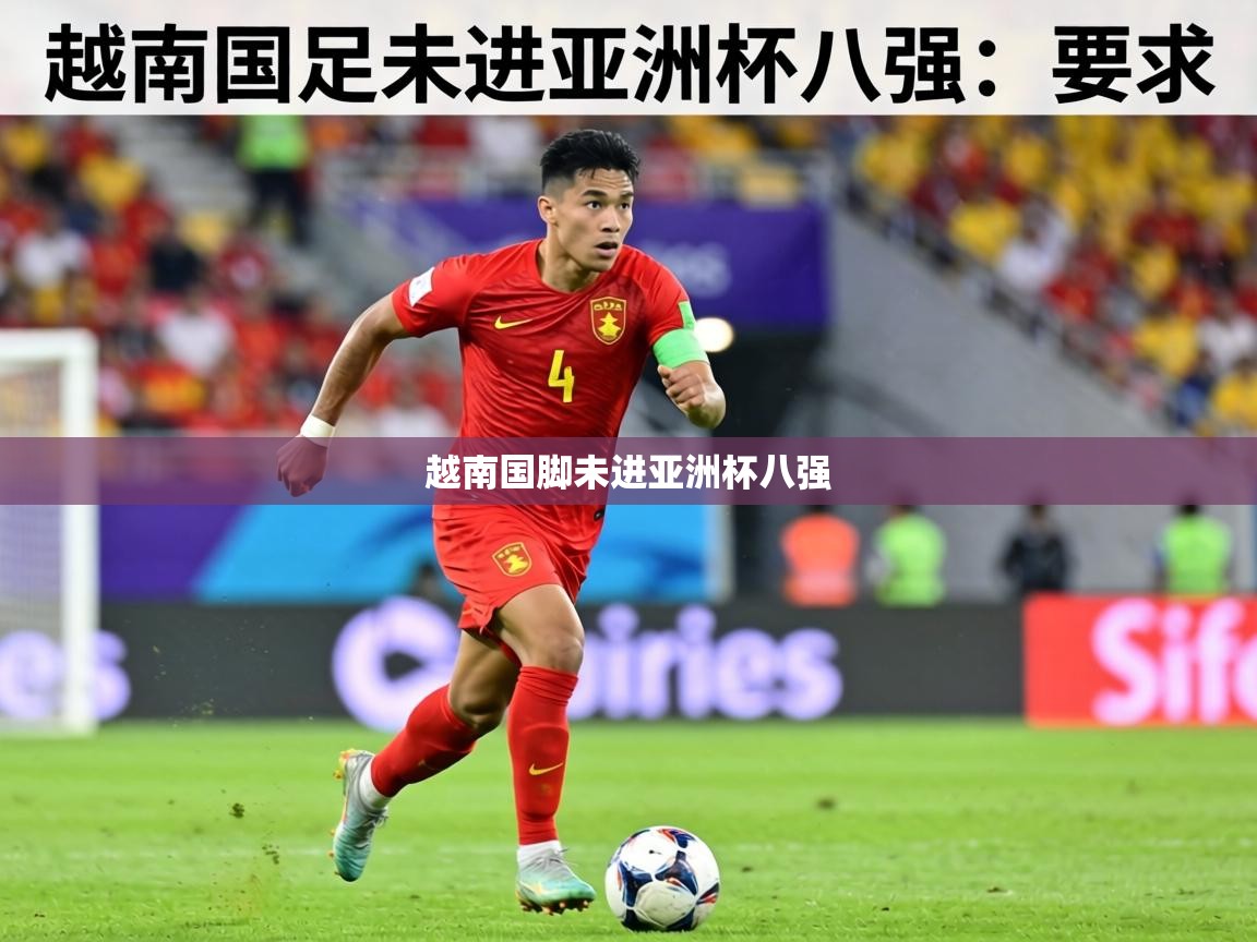 越南国脚未进亚洲杯八强  第2张